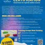 Hybrid Online 25 CE MARI Practitioner Training